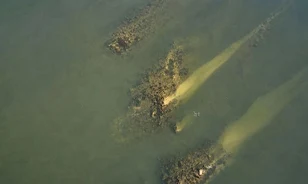Low Danube exposes Constantine’s Roman bridge foundations